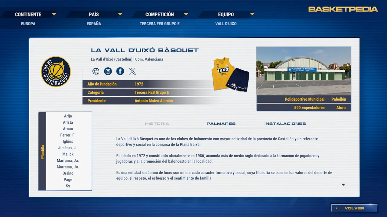 Basket Manager — captura del juego